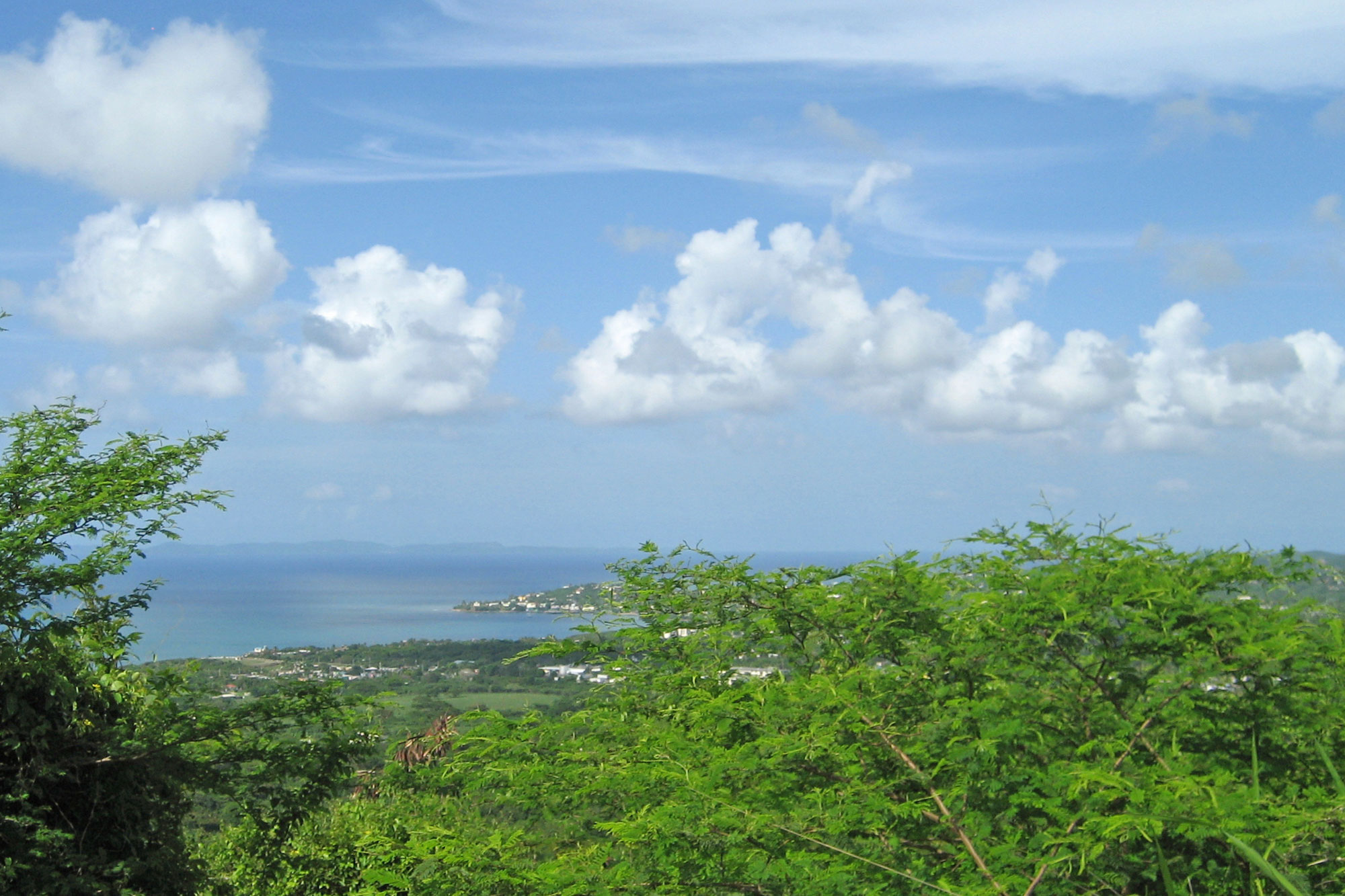 Vieques House View